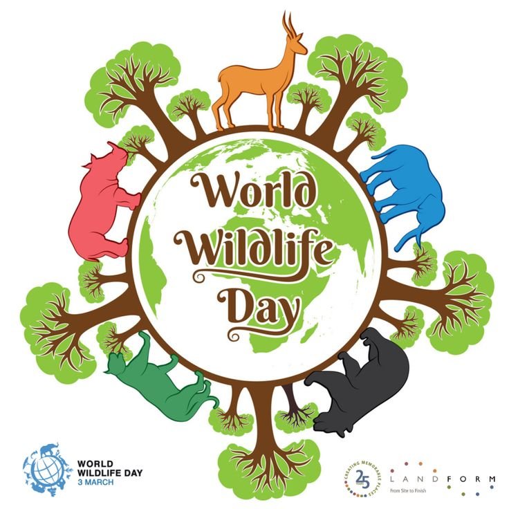 3rd March 2024 World Wildlife Day HD Photos